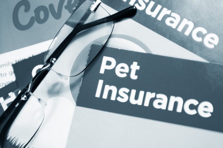 Pet Insurance China Grove Veterinary Clinic