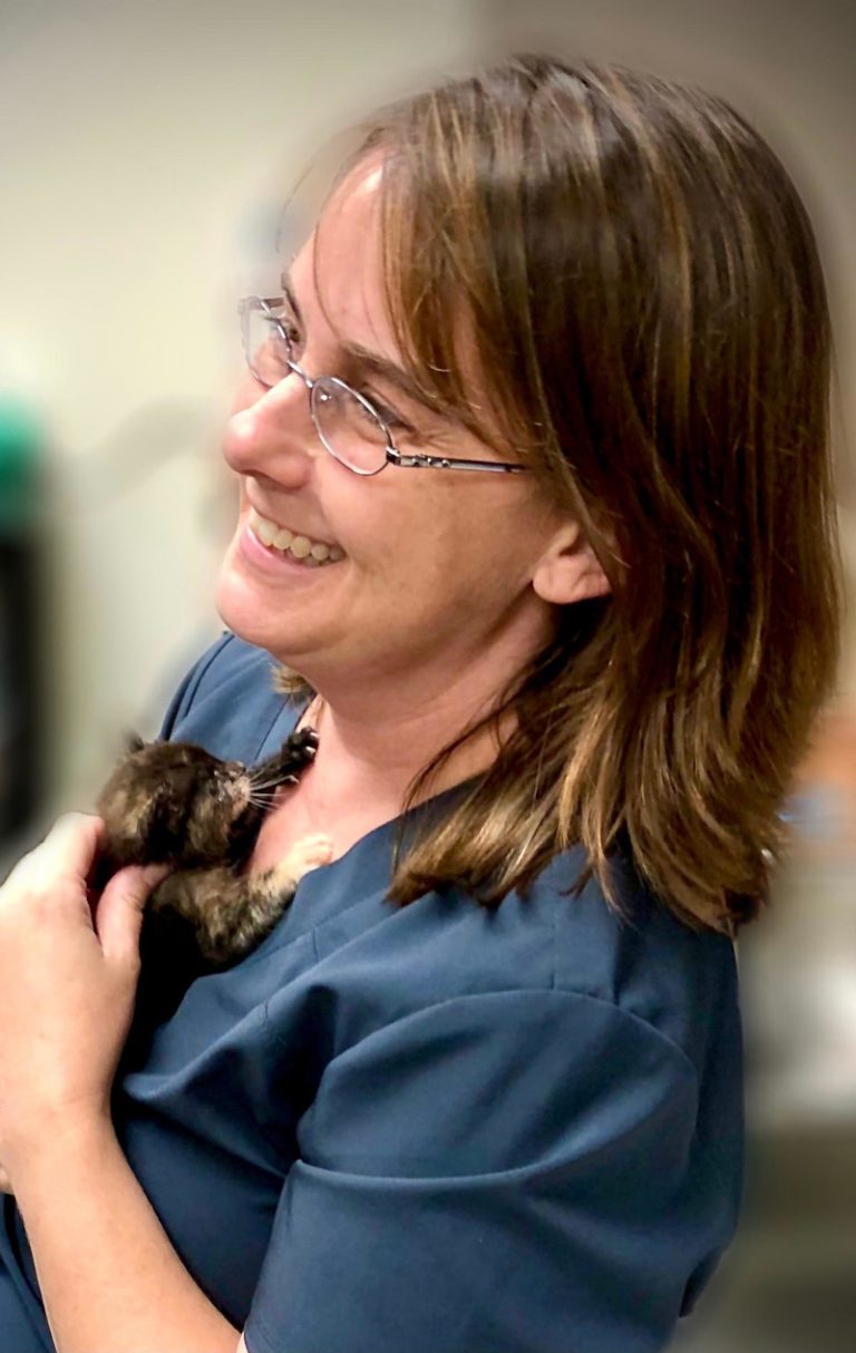 Our Team China Grove Veterinary Clinic